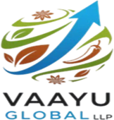 Vaayu Global LLP