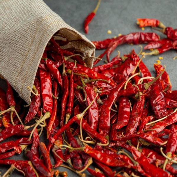 Guntur Chilli