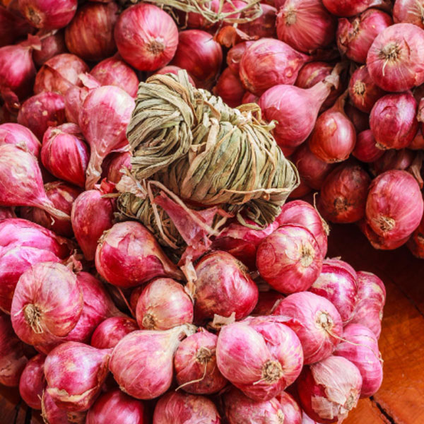 Onion